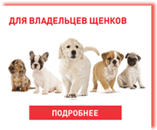 royal_canin_dry_for_puppy