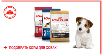 royal_canin_dry-for_dogs
