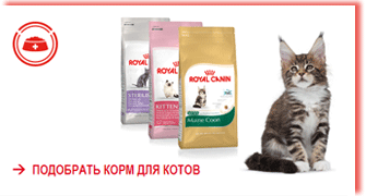 royal_canin_dry-for_cats