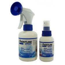 frontline frontline