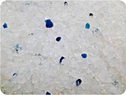 1nmKwNxjpTbQeTdGcJnBeQ