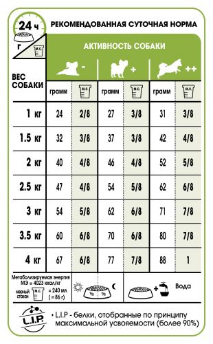 SHN_XSMALL ADULT 8 normy