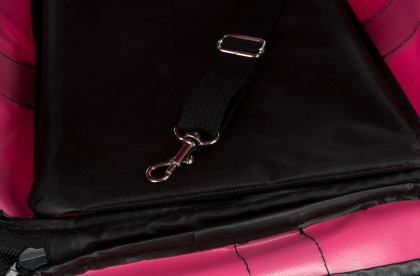 243397_PHO_PRO_DET_28845-1(1)