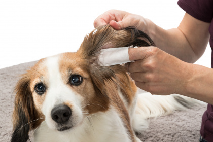 232153_PHO_PRO_USE_CLIP_29392-3(1)