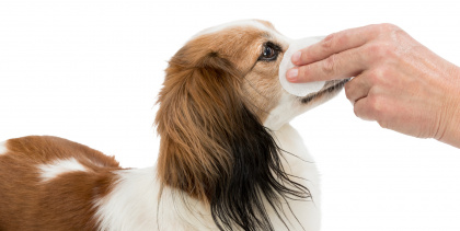 232150_PHO_PRO_USE_CLIP_29391-3(1)