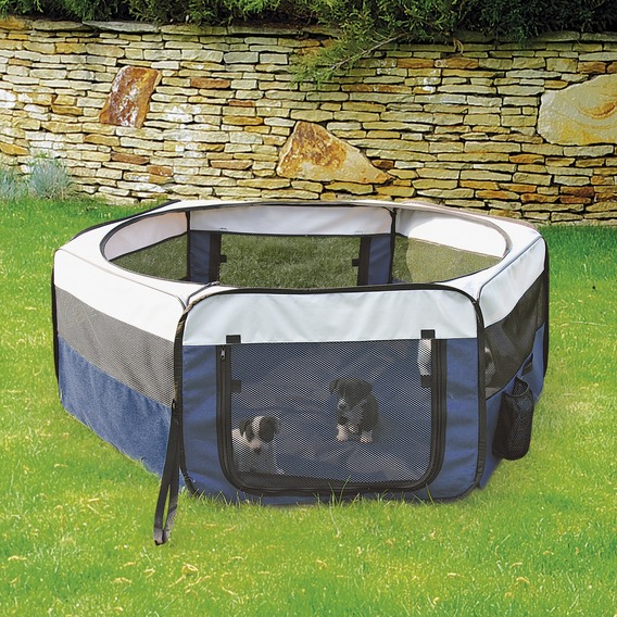 manej__schenok_trixie_64054