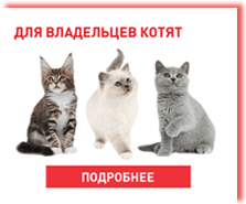 royal_canin_dry_for_kitten