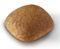 BHN_GOLDEN RETRIVER ADULT_kibble