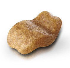 BHN_BULLDOG ADULT_kibble