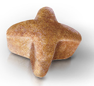 BHN_GERMAN SHEPHERD ADULT_kibble