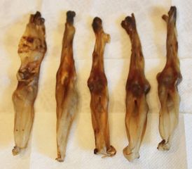 Уши кролика сушеные натуральные