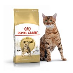 Royal Canin Bengal Adult Сухой корм роял канин для взрослых кошек породы Бенгальская