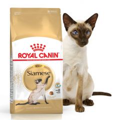 Royal Canin Siamese 38 сухой корм роял канин для взрослых кошек, сиамских кошек